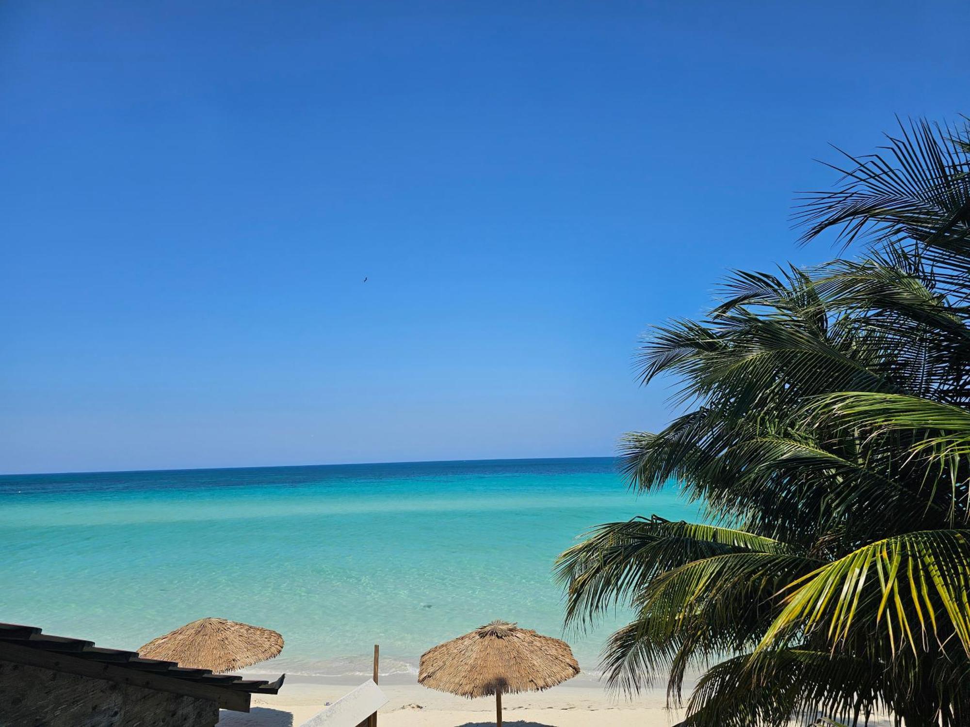 Roots Cafe Rooms Negril Exterior foto